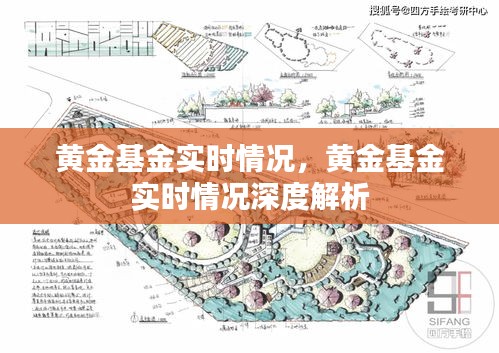 黄金基金实时情况深度解析与最新动态