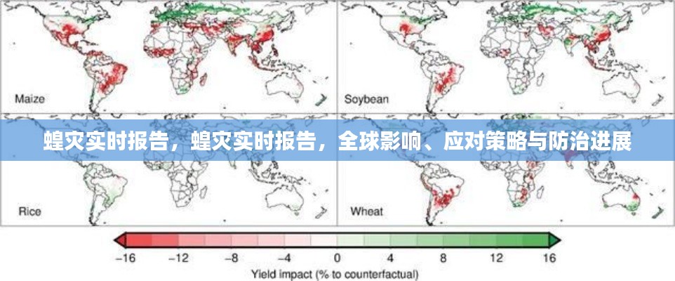 全球蝗灾实时报告，影响、应对策略与防治进展