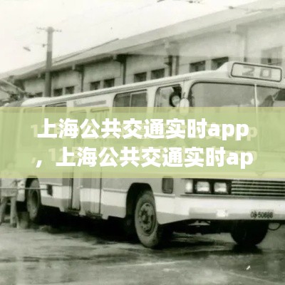 上海公共交通实时app重塑城市出行体验，便捷出行从此开始！