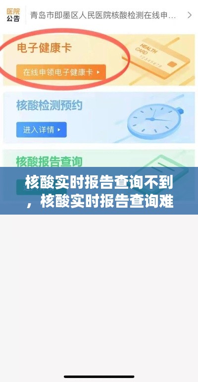 核酸实时报告查询问题解析，查询不到报告的困扰与解决方案