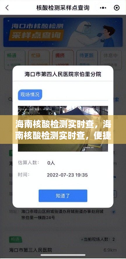 海南核酸检测实时查询，便捷工具、操作流程及注意事项全解析