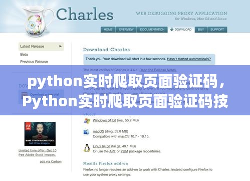 Python实时爬取页面验证码技术详解及解析