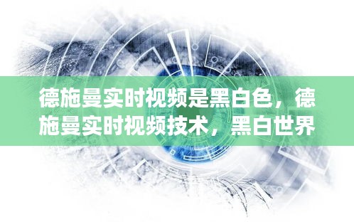 德施曼实时视频技术，黑白世界的智能安防新篇章