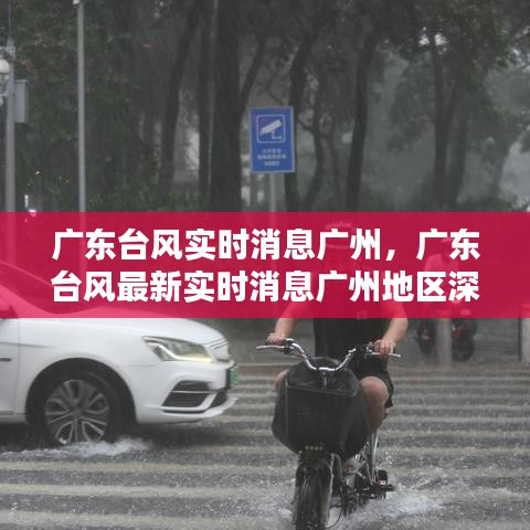 广东广州地区台风实时消息深度解析