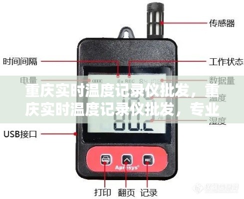 重庆实时温度记录仪专业批发，科技监控温度的先锋之选