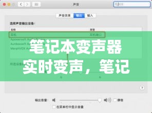 笔记本变声器实时变声技术，引领新时代的语音转换风潮