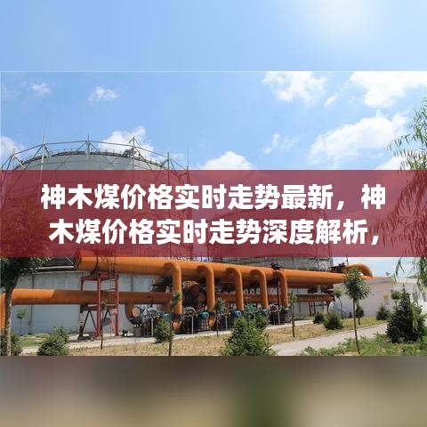 神木煤价格实时走势深度解析，市场动向、影响因素与最新发展报告