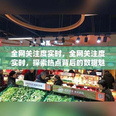 全网关注度实时探索，热点背后的数据魅力与影响力揭秘