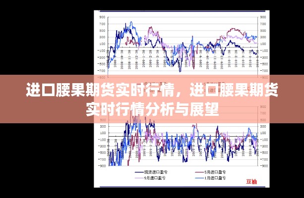 进口腰果期货实时行情分析与展望，市场动态及未来趋势解析