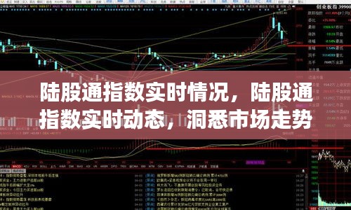 陆股通指数实时动态解析，市场走势洞察与应对策略