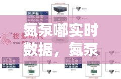 氮泵嘟实时数据监控，探索现代科技新型监控体系