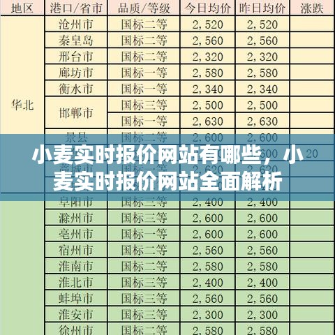 小麦实时报价网站解析，获取最新小麦报价的权威渠道汇总