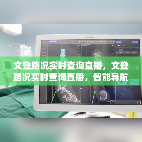 文登路况实时查询直播，智能导航助力高效出行