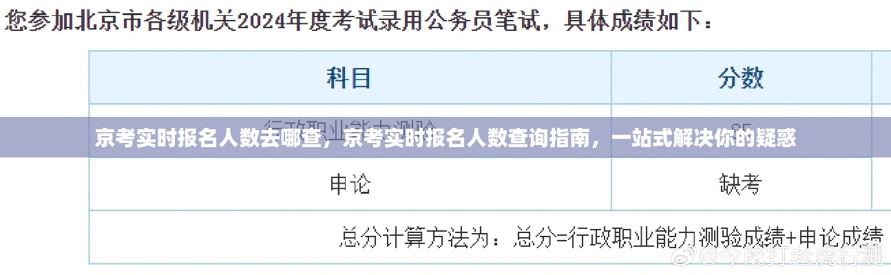 京考实时报名人数查询指南，一站式解决你的疑惑