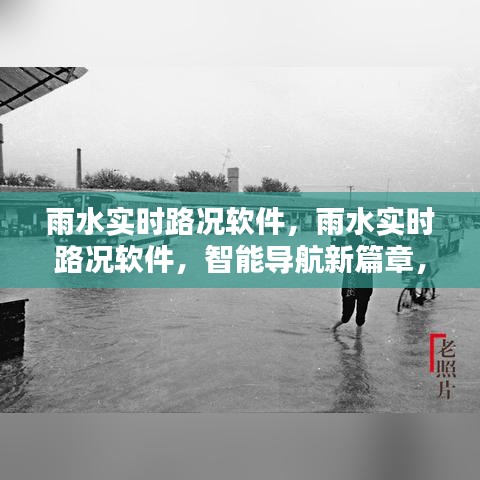 雨水实时路况软件，智能导航新篇章，雨季无忧驾驶助手