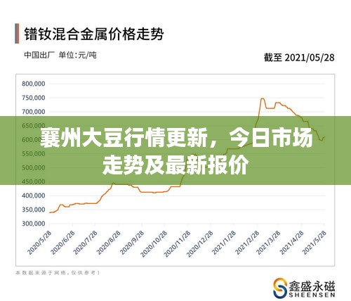 襄州大豆行情更新，今日市场走势及最新报价