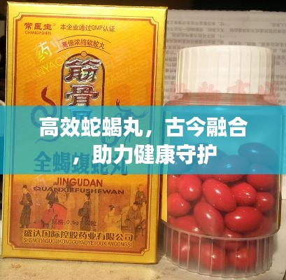 高效蛇蝎丸，古今融合，助力健康守护