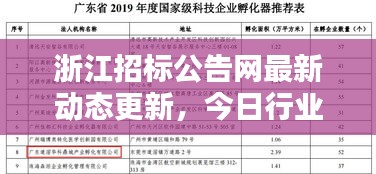 浙江招标公告网最新动态更新，今日行业焦点速递