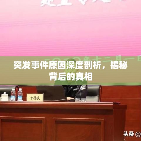 突发事件原因深度剖析，揭秘背后的真相