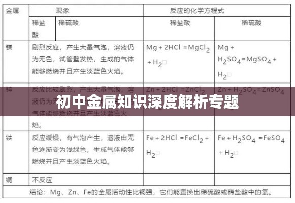 初中金属知识深度解析专题