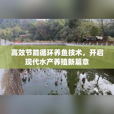 高效节能循环养鱼技术，开启现代水产养殖新篇章