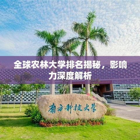 全球农林大学排名揭秘，影响力深度解析