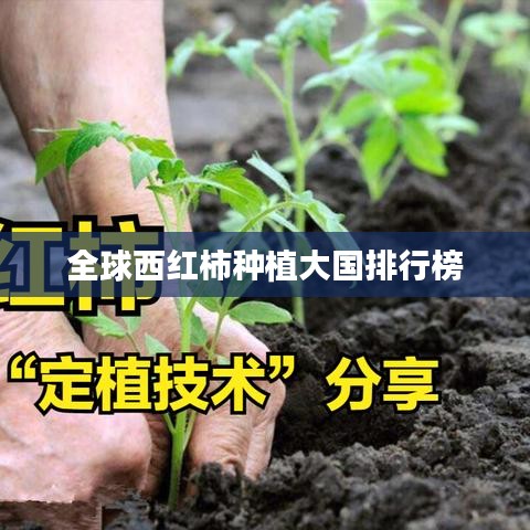 全球西红柿种植大国排行榜