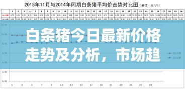 白条猪今日最新价格走势及分析，市场趋势与影响因素深度解读