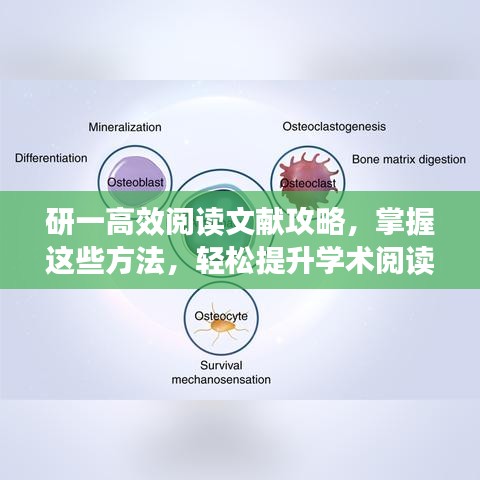 研一高效阅读文献攻略，掌握这些方法，轻松提升学术阅读效率！