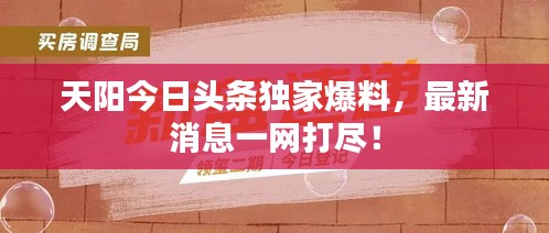 天阳今日头条独家爆料，最新消息一网打尽！