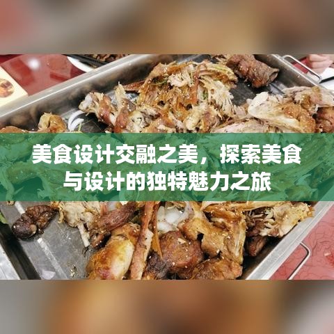 美食设计交融之美，探索美食与设计的独特魅力之旅