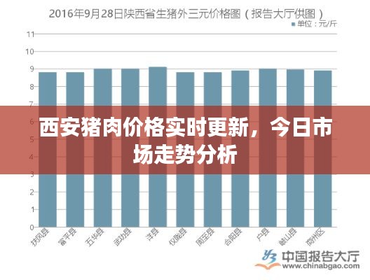 西安猪肉价格实时更新，今日市场走势分析