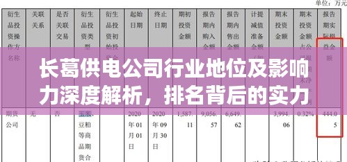 长葛供电公司行业地位及影响力深度解析，排名背后的实力与影响力揭秘