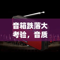 音箱跌落大考验，音质安全双重保障揭秘！