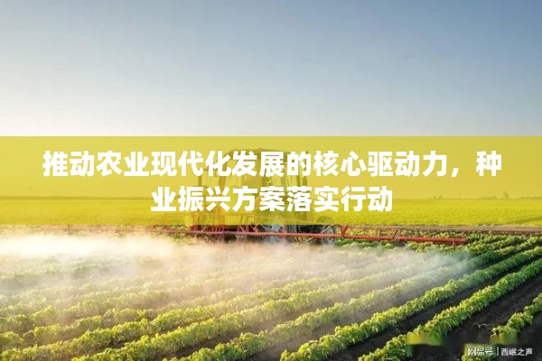 推动农业现代化发展的核心驱动力，种业振兴方案落实行动