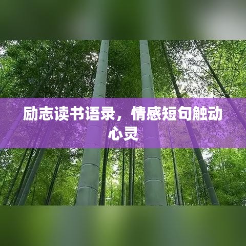 励志读书语录，情感短句触动心灵