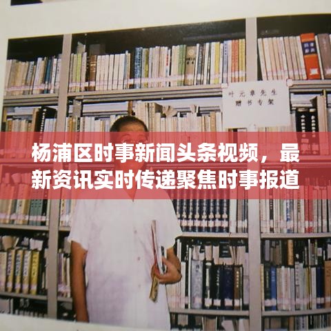 杨浦区时事新闻头条视频，最新资讯实时传递聚焦时事报道