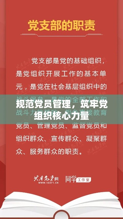 规范党员管理，筑牢党组织核心力量