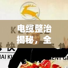 电缆整治揭秘，全面深度报道，问题与解决方案一网打尽