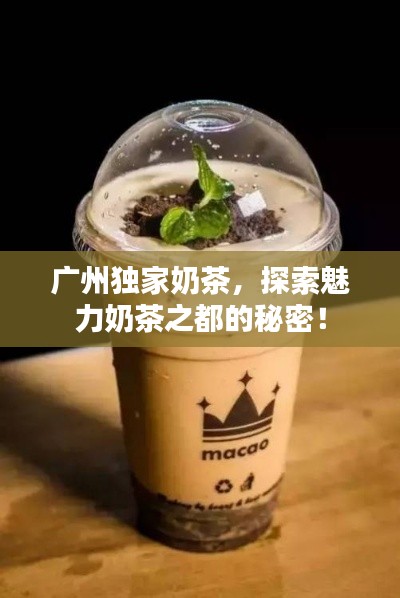 广州独家奶茶，探索魅力奶茶之都的秘密！