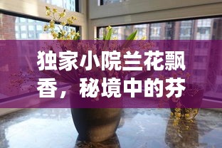 独家小院兰花飘香，秘境中的芬芳物语