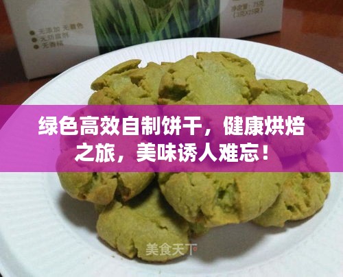 绿色高效自制饼干，健康烘焙之旅，美味诱人难忘！