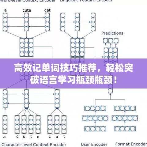 高效记单词技巧推荐，轻松突破语言学习瓶颈瓶颈！