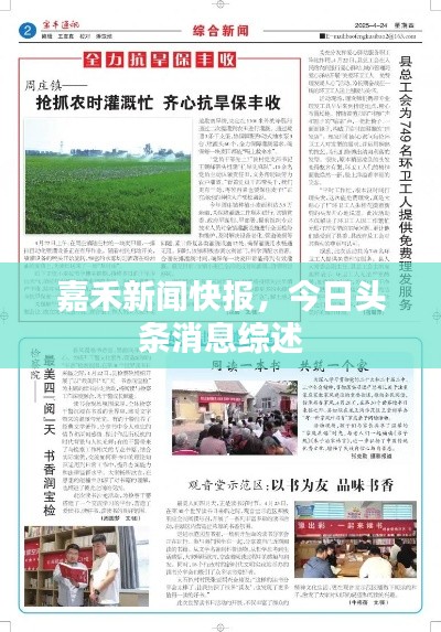 嘉禾新闻快报，今日头条消息综述