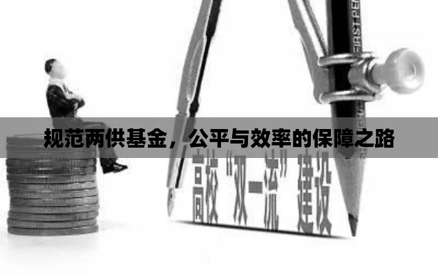 规范两供基金，公平与效率的保障之路