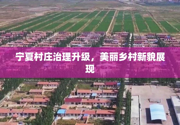 宁夏村庄治理升级，美丽乡村新貌展现