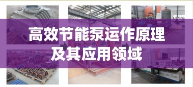 高效节能泵运作原理及其应用领域