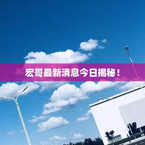 宏哥最新消息今日揭秘！