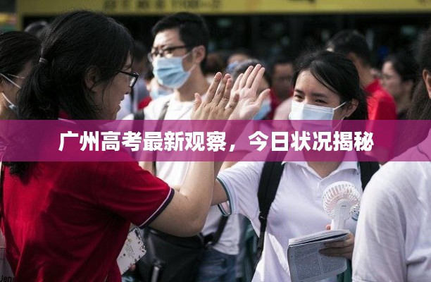 广州高考最新观察，今日状况揭秘