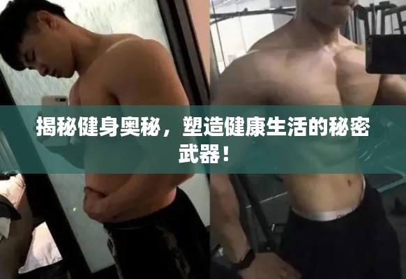 揭秘健身奥秘，塑造健康生活的秘密武器！
